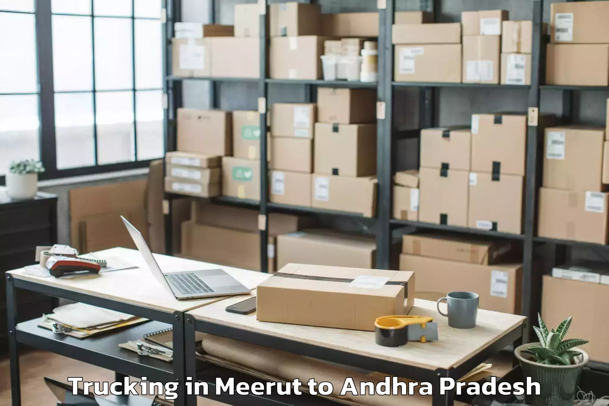 Hassle-Free Meerut to Pedapadu Trucking